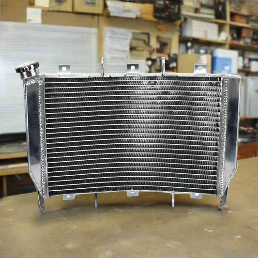 2003-2004 636 Radiator