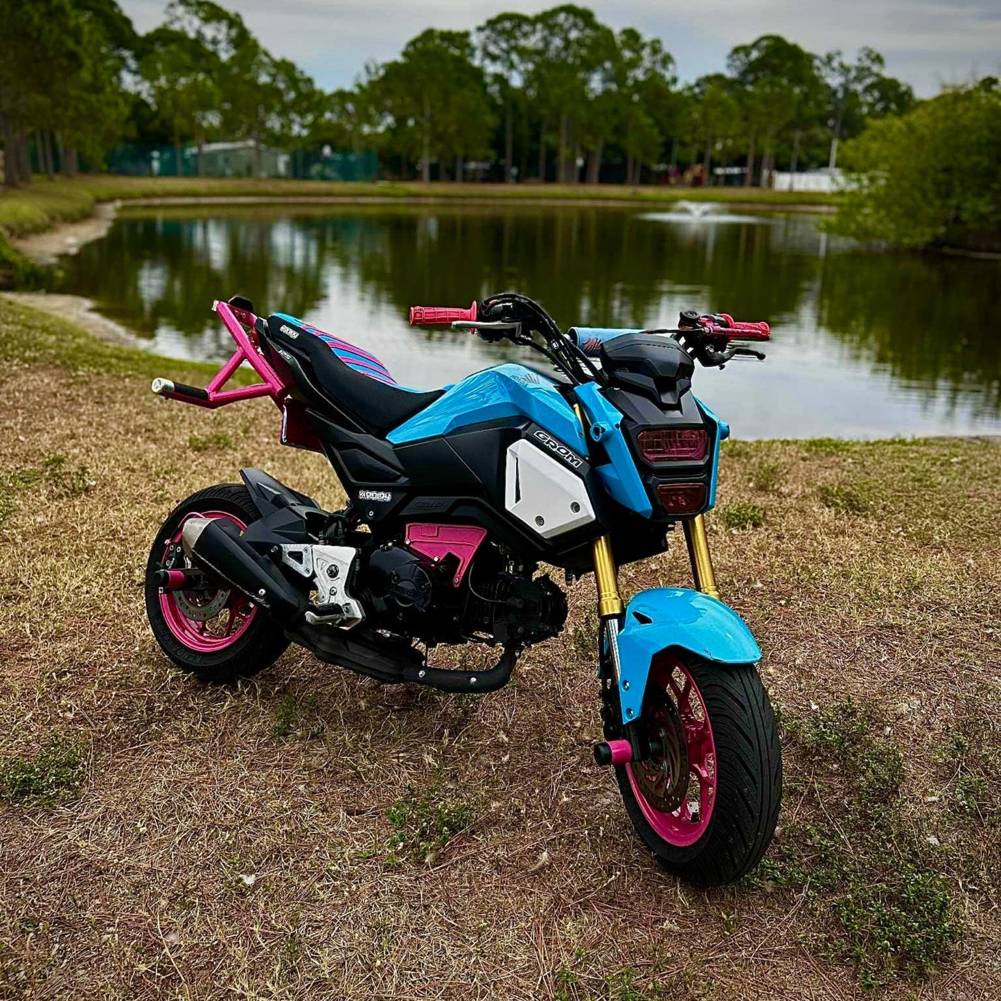 Honda Grom OG-SF Subcage/12bar Combo